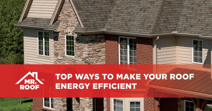 Most Cost Efficient Roof at Doris Boss blog