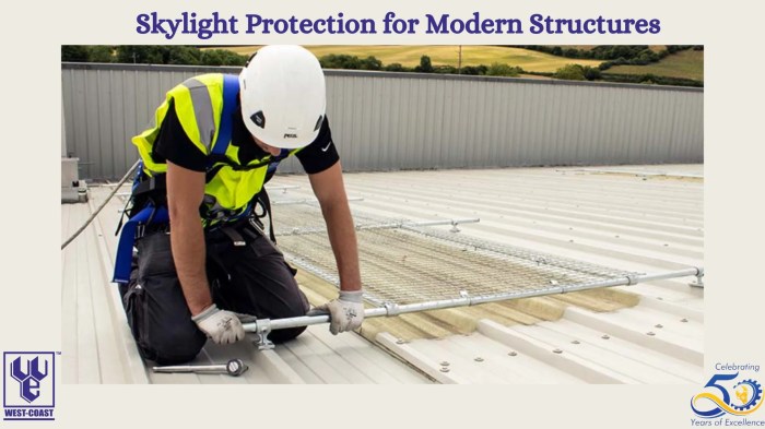 Illuminating Safety: Skylight Protection Solutions for Modern ...